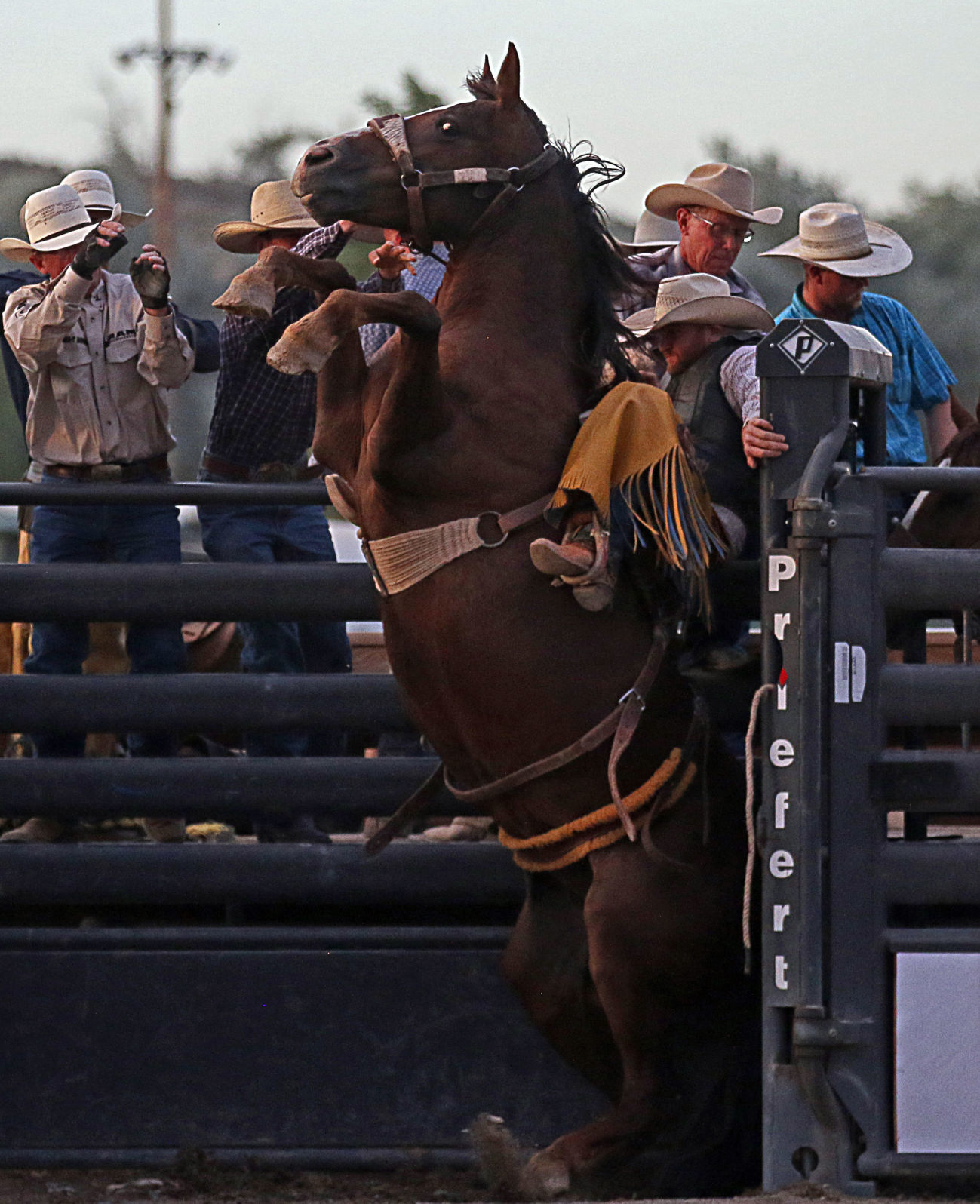 Dean Wadsworth